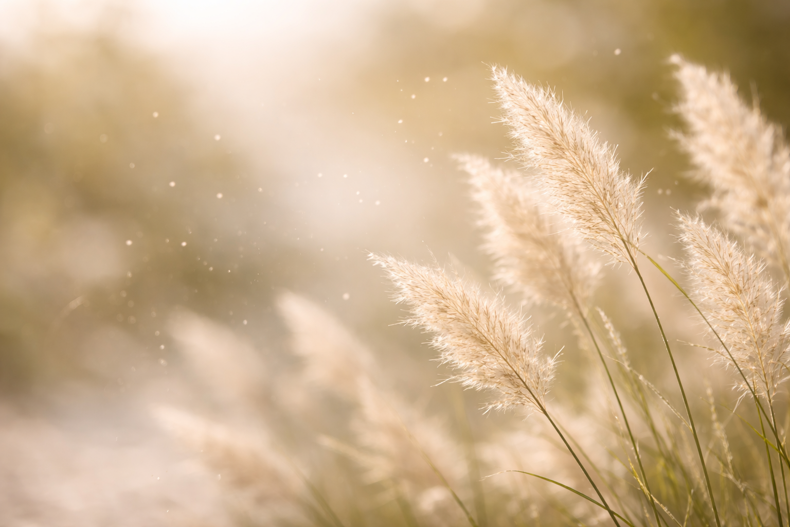 Frühlingspollen und Gräser bei Allergie und Heuschnupfen – Zusammenhang mit Darm und Immunsystem